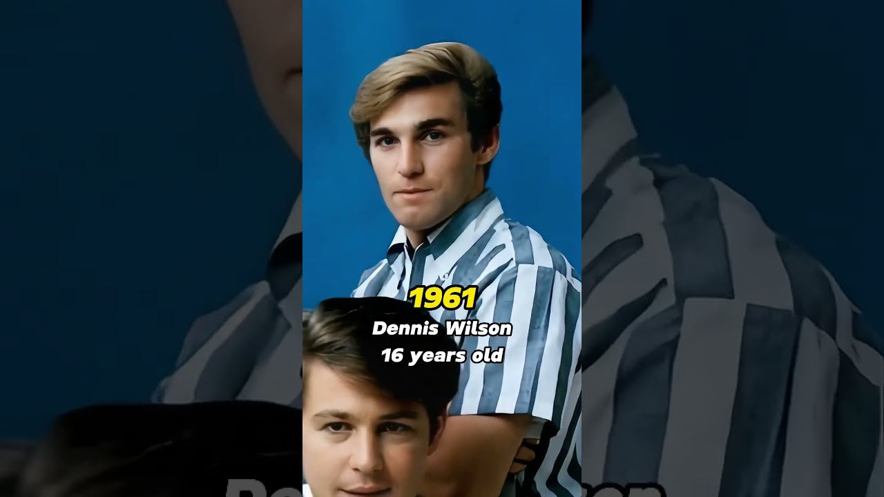 The Beach Boys Boy Band (1961-2025)😮#beachboys #boyband #popband  #60smusic