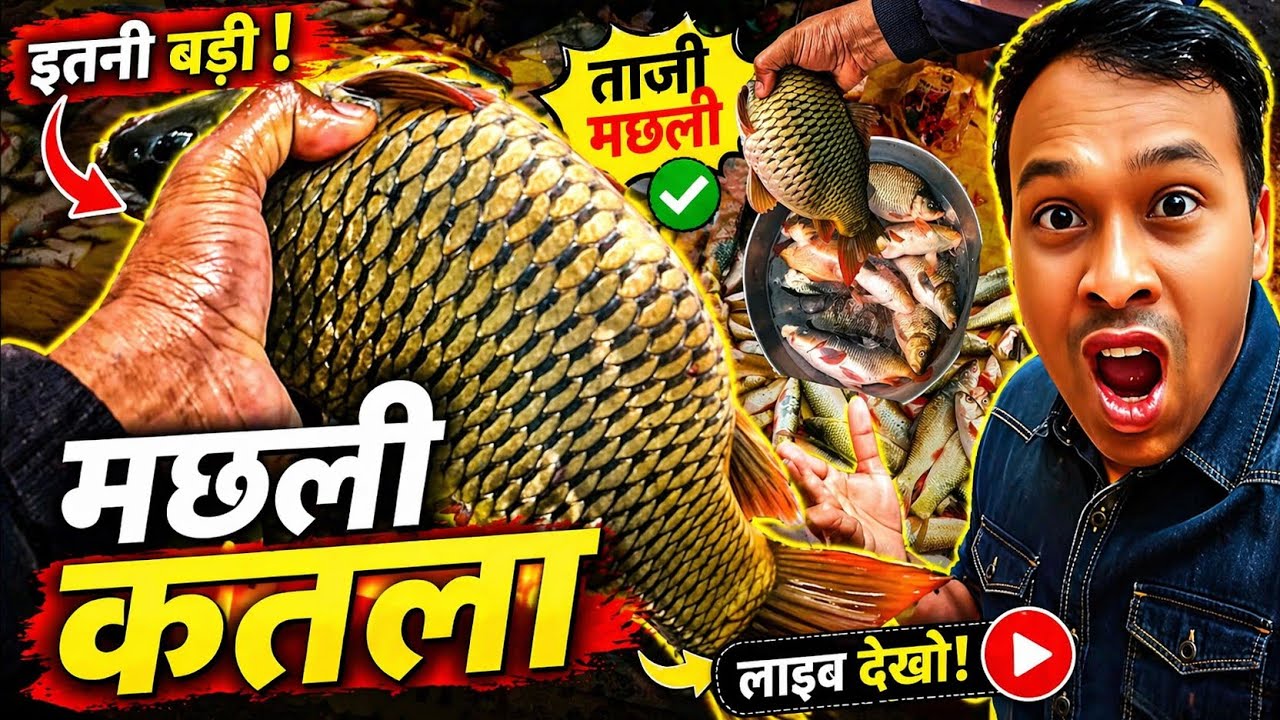 मछली कतला 🐠 स्वादिष्ट मछली मछली वाला वीडियो खूबसूरत बाजार #spcity #vlog #minivlog #video #food 