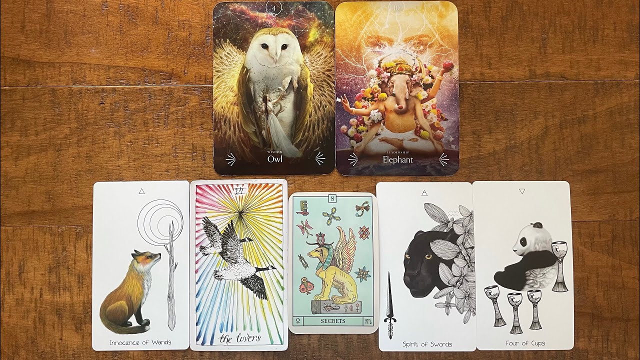 Taurus - Your Blind Spot, What You Don't See Coming
