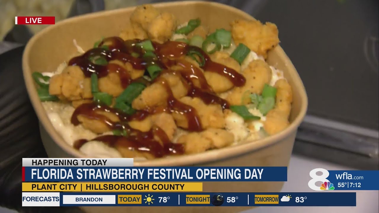 Florida Strawberry Festival celebrates 91st opening day