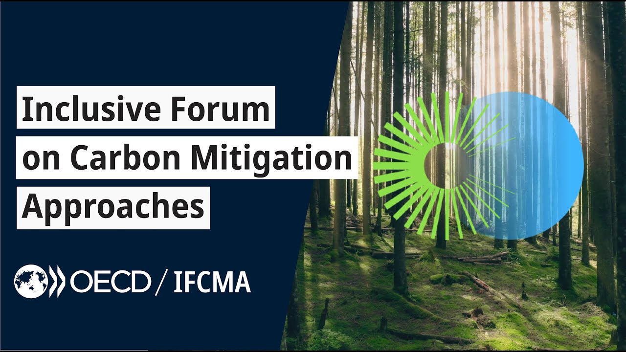 Challenges of the Inclusive Forum on Carbon Mitigation Approaches (IFCMA)