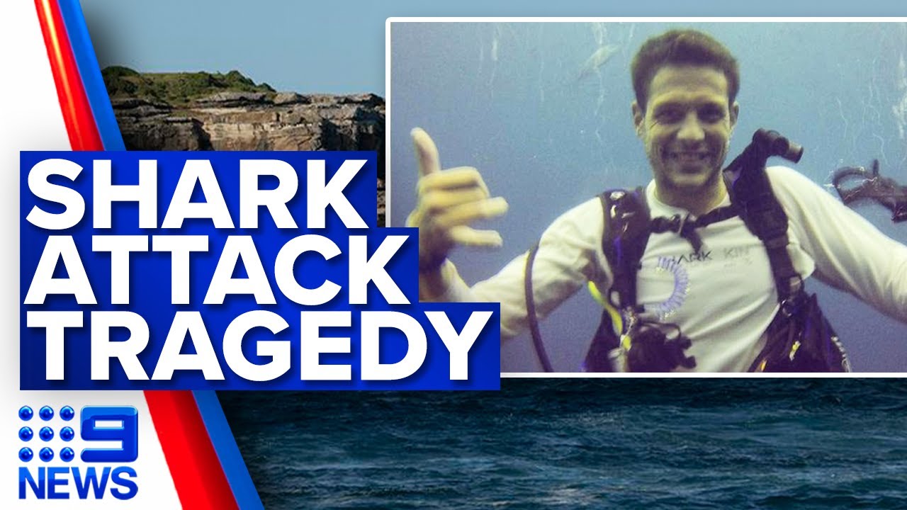 Shark attack victim identified as 35-year-old diving instructor | 9 News Australia