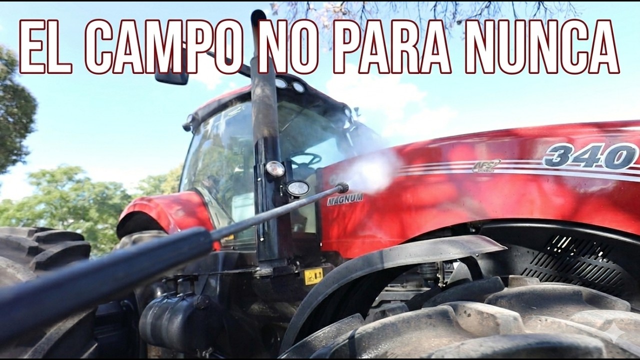 Varias actividades - Steven Chá