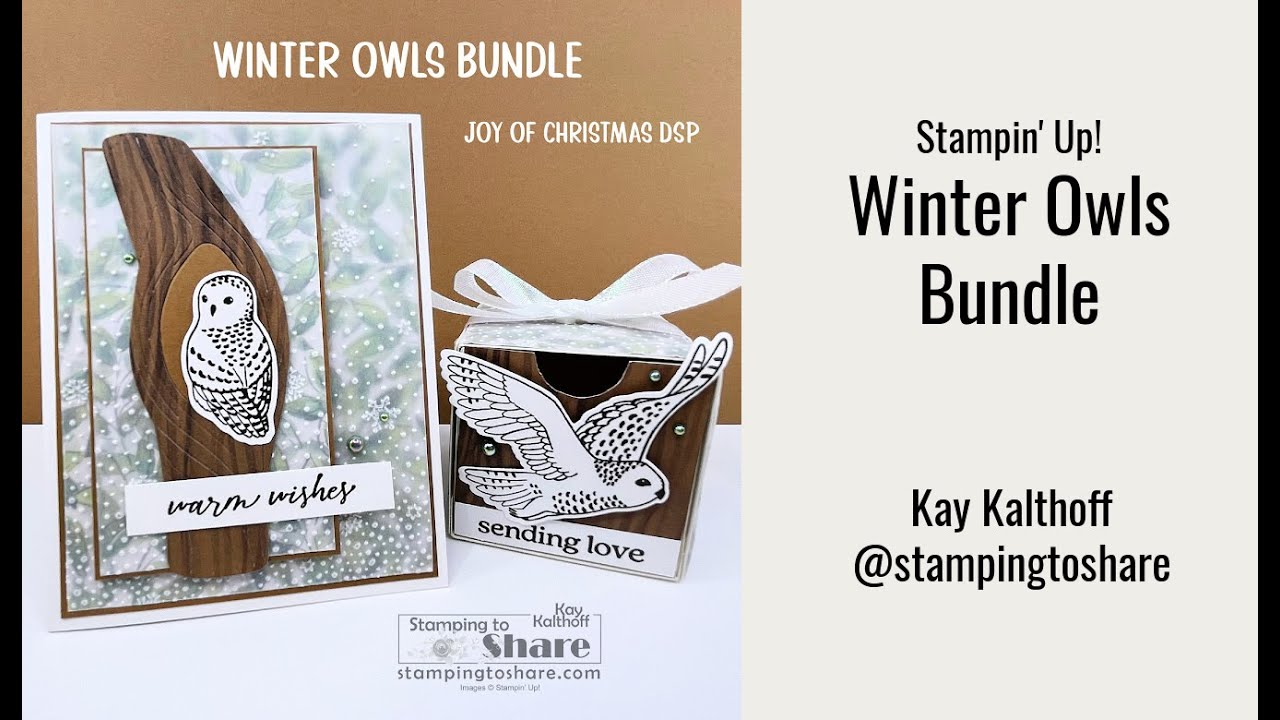 Stampin' Up! Winter Owl Bundle Card and Treat Holder