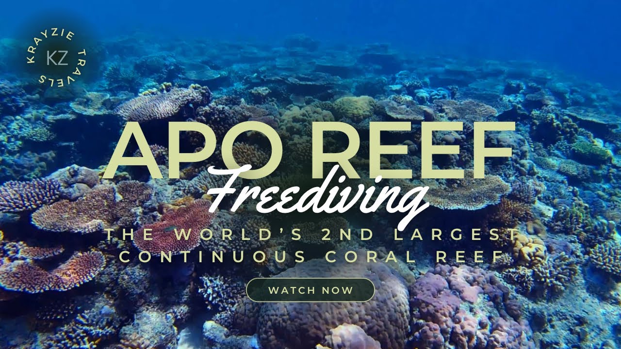 Apo Reef || Occidental Mindoro