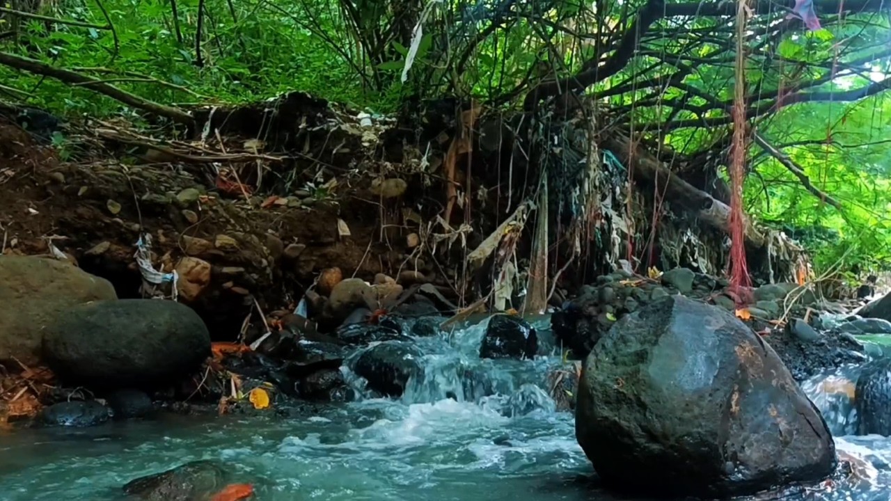 Calming River Sounds for Insomnia and Relaxation | Sleep Faster with Nature