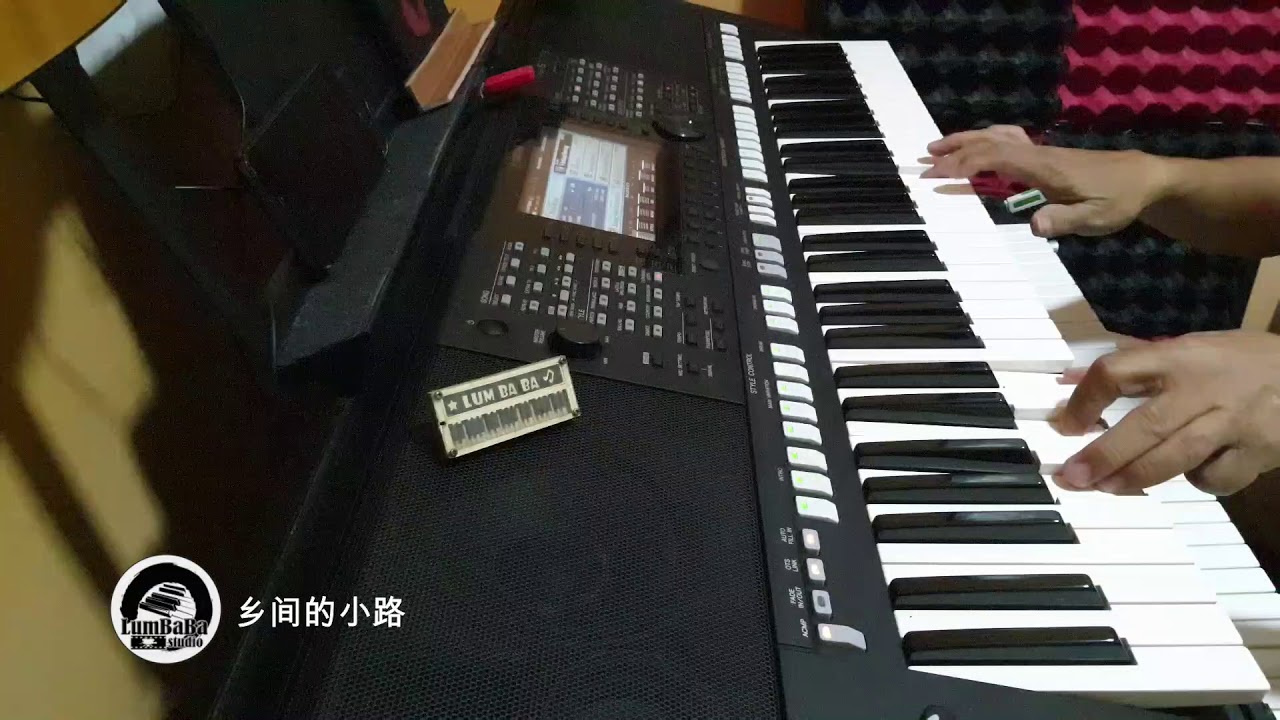 校园民歌系列 之 《乡间的小路》 ～ 电子琴经典民歌演奏 YAMAHA PSRS 775 Cover By  LumBaBa