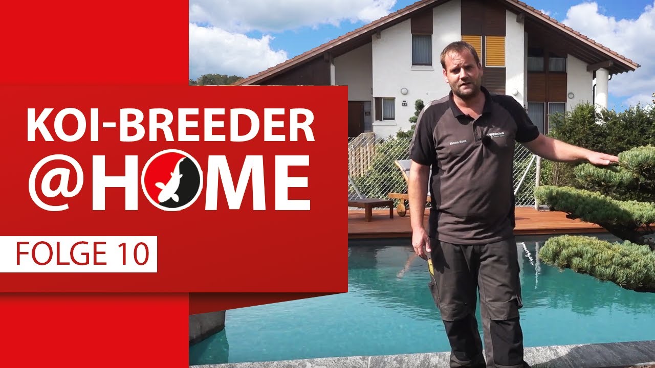 Koi-Breeder@home: Simon Kunz