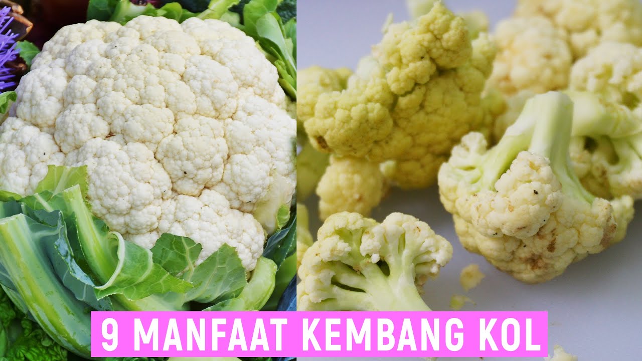 9 Manfaat Kembang Kol untuk Kesehatan | Menyehatkan Jantung