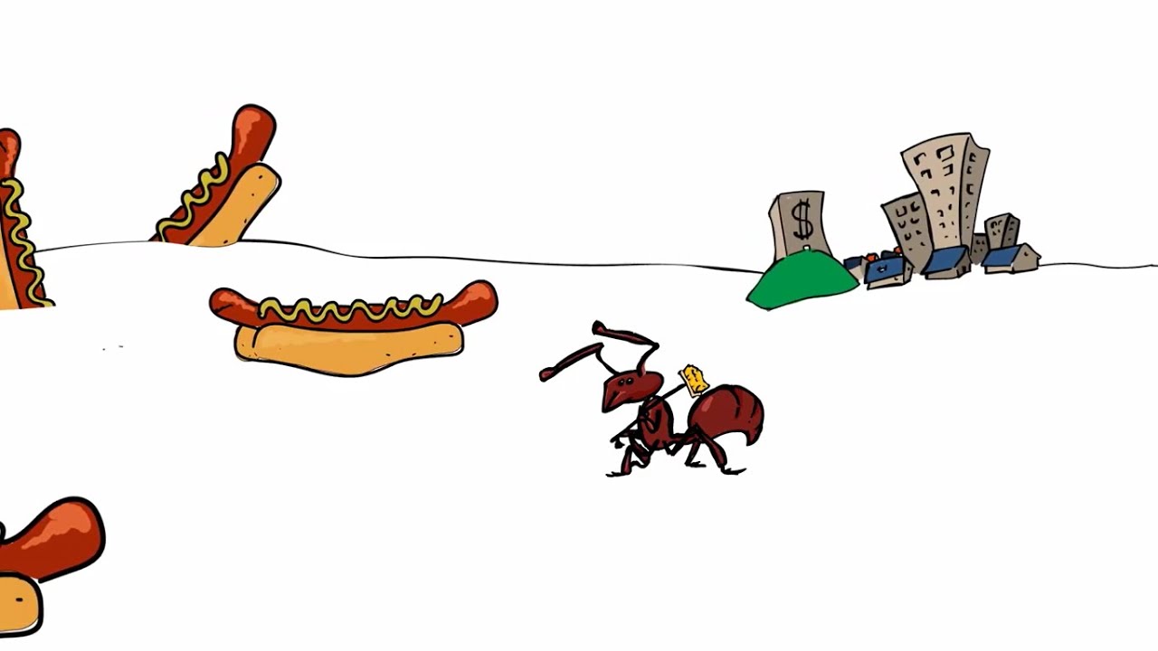 Ant behaviour to solve urban problems
