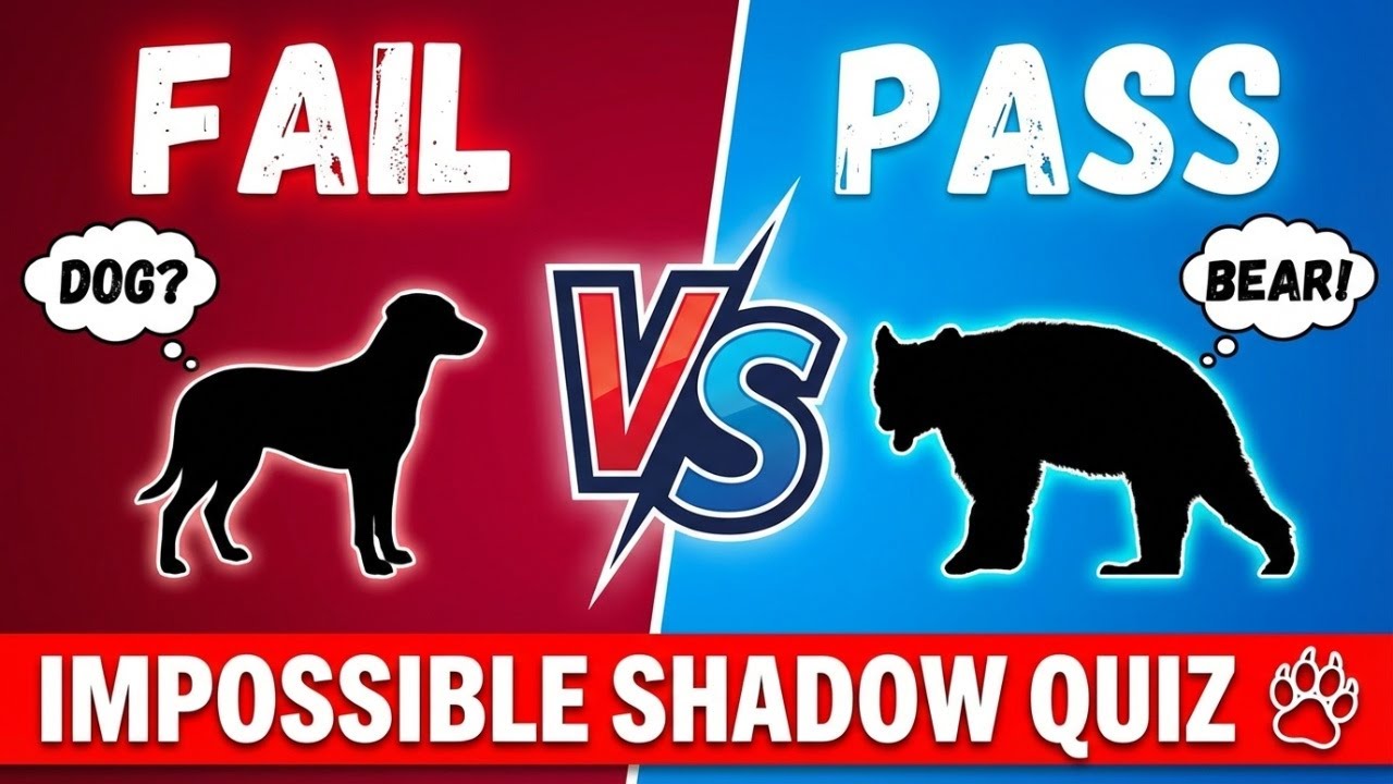 These Animal Shadows Are IMPOSSIBLE 🐾 Only 1% Pass!