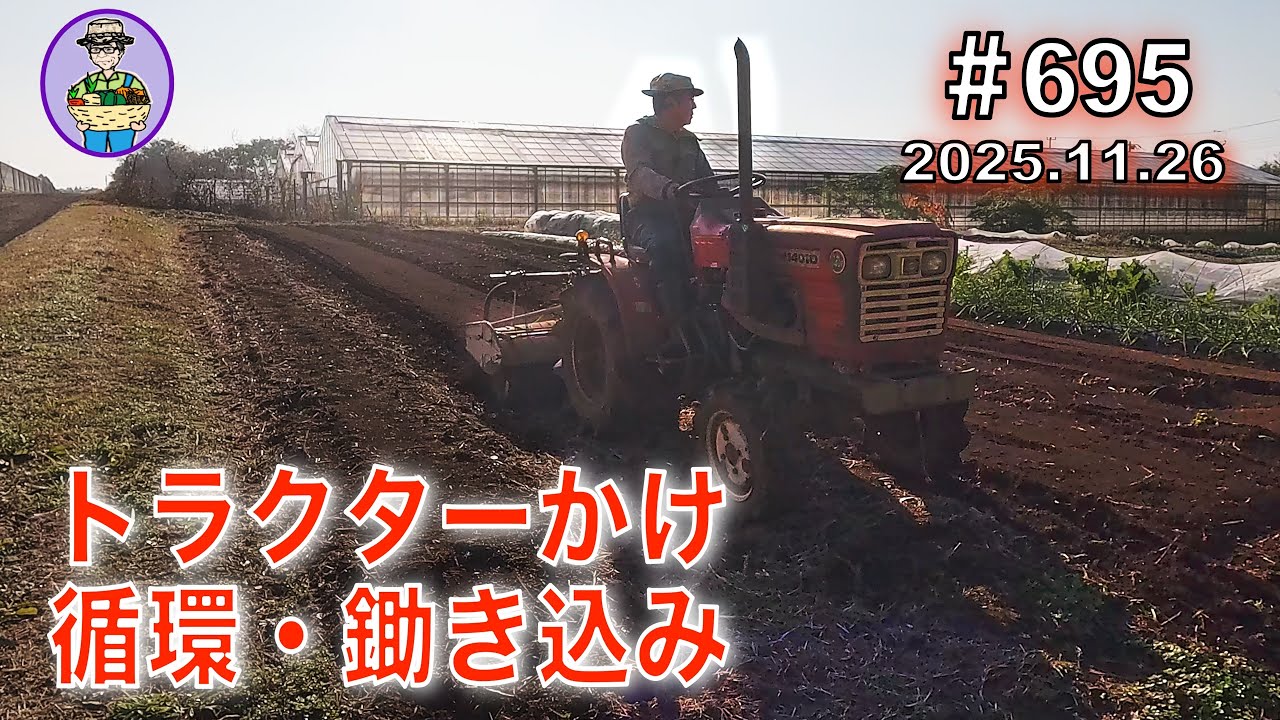 【循環鋤き込み】第695話、ちょっとずつトラクターかけして雑草を鋤き込む（循環）。大根２番手の防虫ネットを片付ける。#オーガニック栽培 #家庭菜園 #農業VLOG