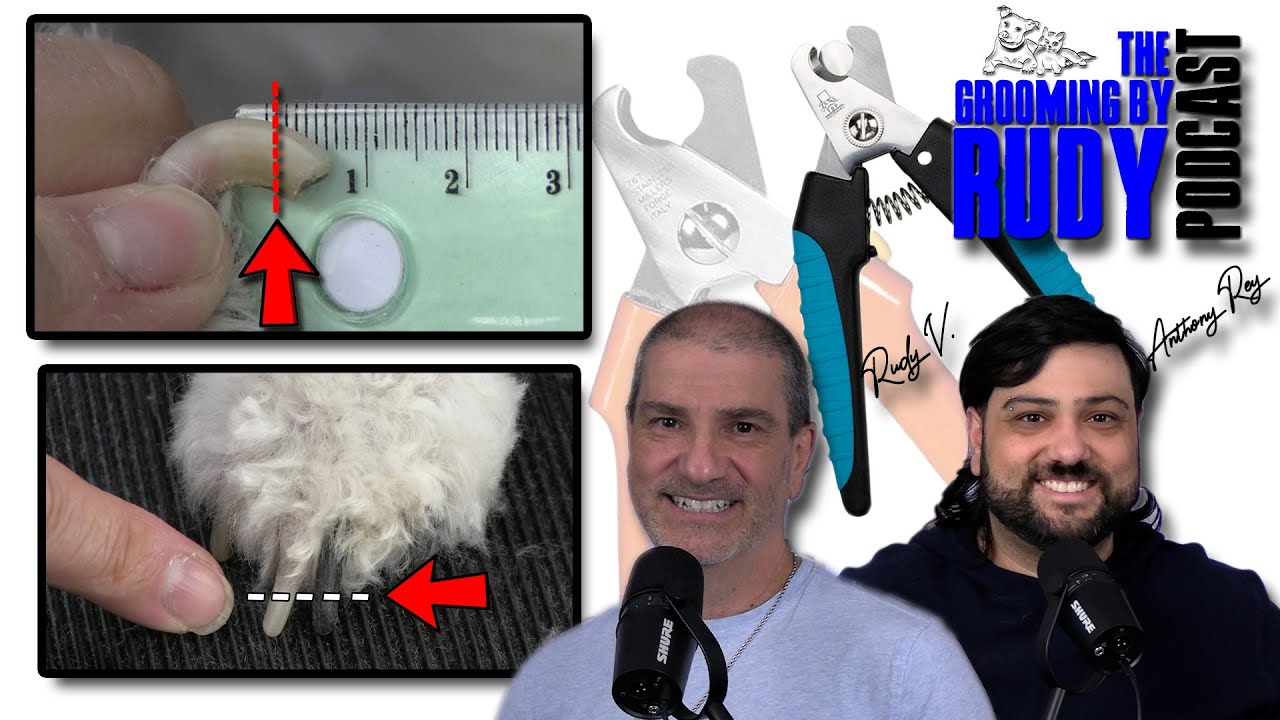 Why Proper Dog Nail Clipping Matters More Than You Think | The Grooming By Rudy Podcast Episode 10