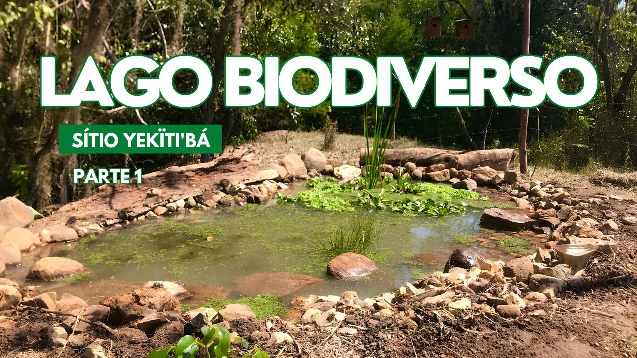 LAGO BIODIVERSO - construção