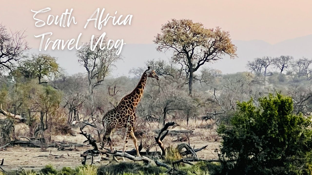 Waka Waka (Ukulele) | South Africa Travel Vlog: Kurgar, Cape Town, and More 南非旅遊：克魯格國家公園、開普敦和更多