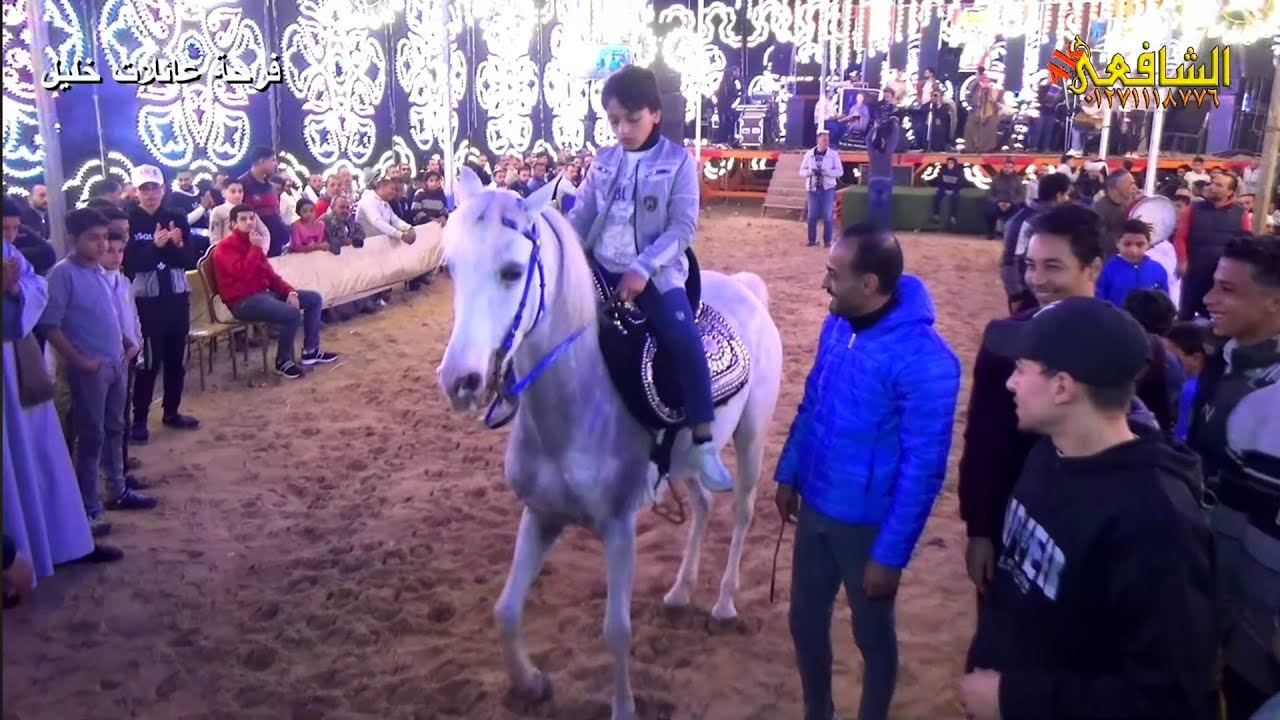 الخيل يرقص على المزمار حماده ابو الحاج 💪 فرحة عائلة خليل العلو المحله الكبري 🎥شركة الشافعي 4K