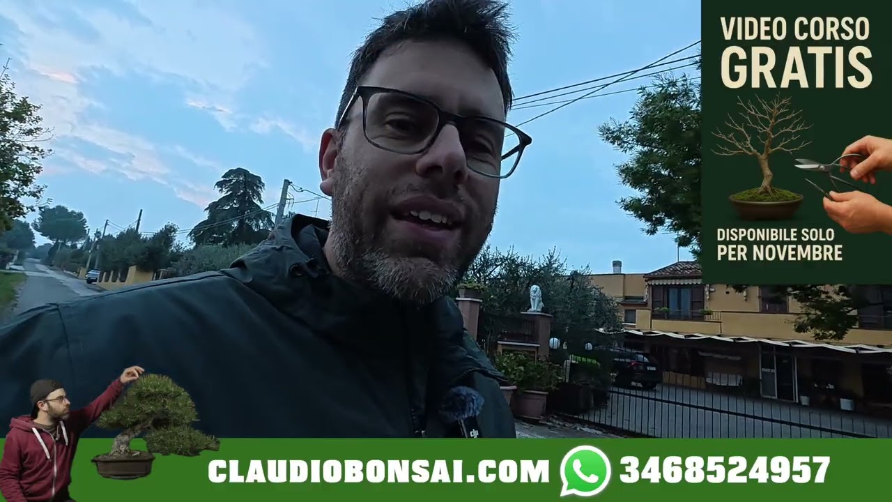 PERCHÈ I BONSAI GIÀ PRONTI IN REALTÀ COSTANO MENO DI QUELLI GREZZI