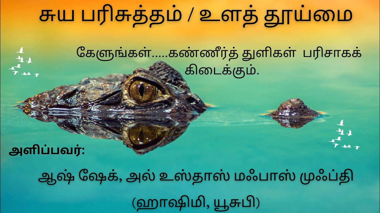 சுய பரிசுத்தம் / உள்ளத் தூய்மை Lecture: ஆஷ் ஷேக், அல் உஸ்தாஸ் மஃபாஸ் முஃப்தி(ஹாஷிமி, யூசுபி)