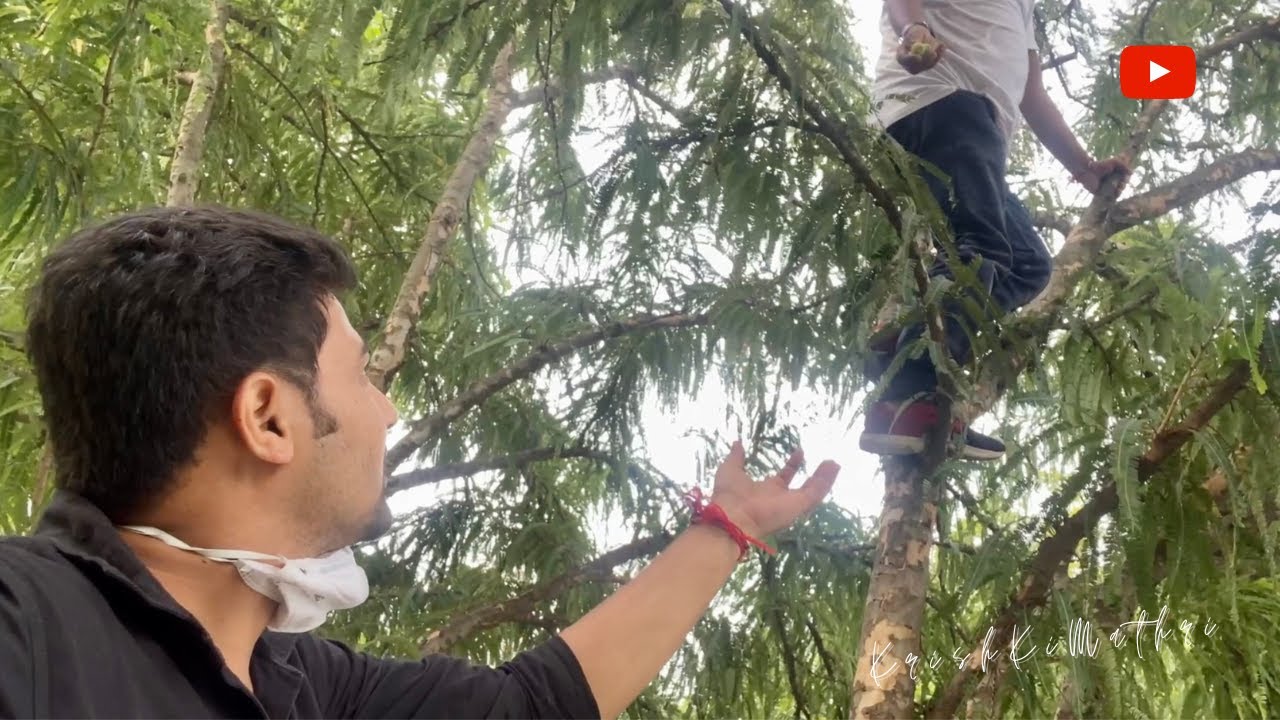 बाबा रामदेव का आँवला |😄  पतंजलि योगपीठ | KrishKiMathri