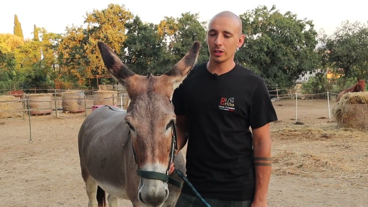 Giorgio Frusteri si presenta per il Palio dei Ciuchi di Asciano 2024