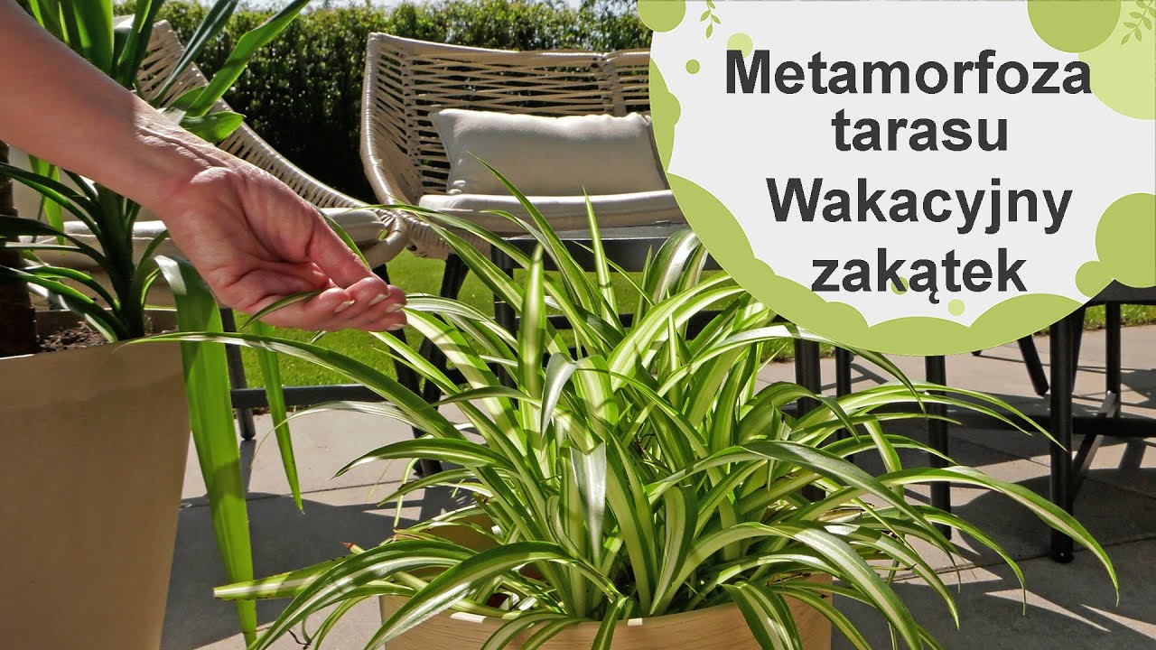 Metamorfoza tarasu - wakacyjny zakątek. Meble na taras i balkon