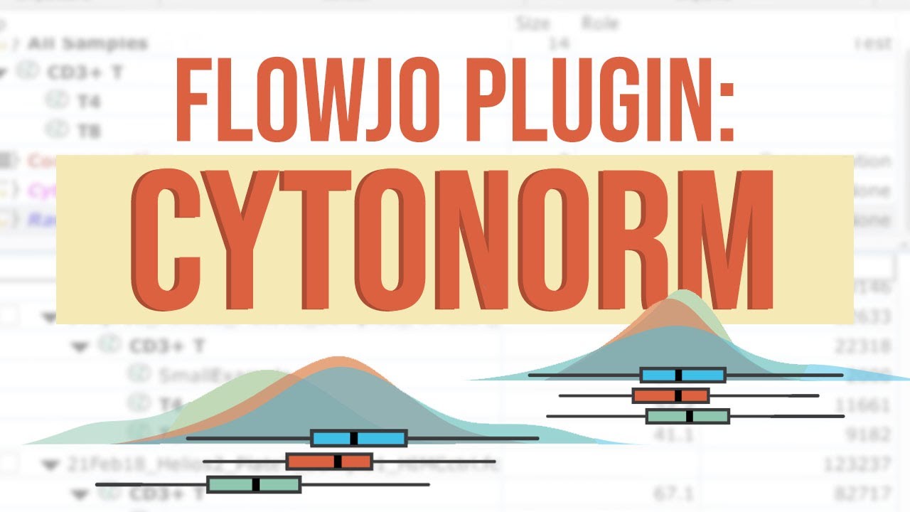 Webinar: Using CytoNorm with FlowJo