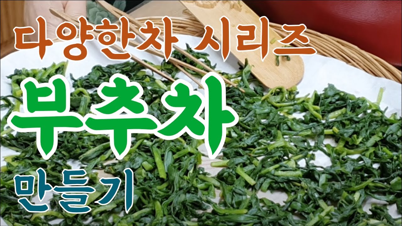 부추차 만드는 법/ 수족냉증과 혈관에 좋은차