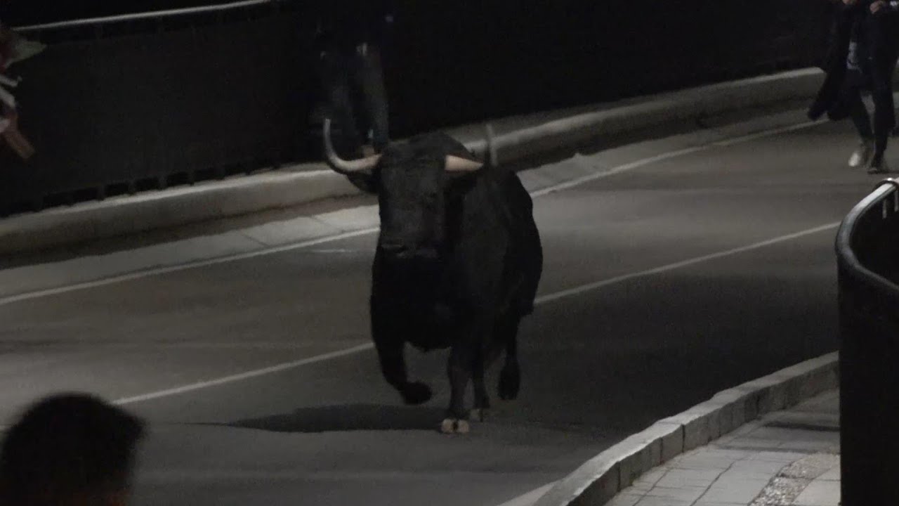 TORDESILLAS 2024 Fiestas de la Peña ,Encierro Sobrero del Toro de la Vega nocturno