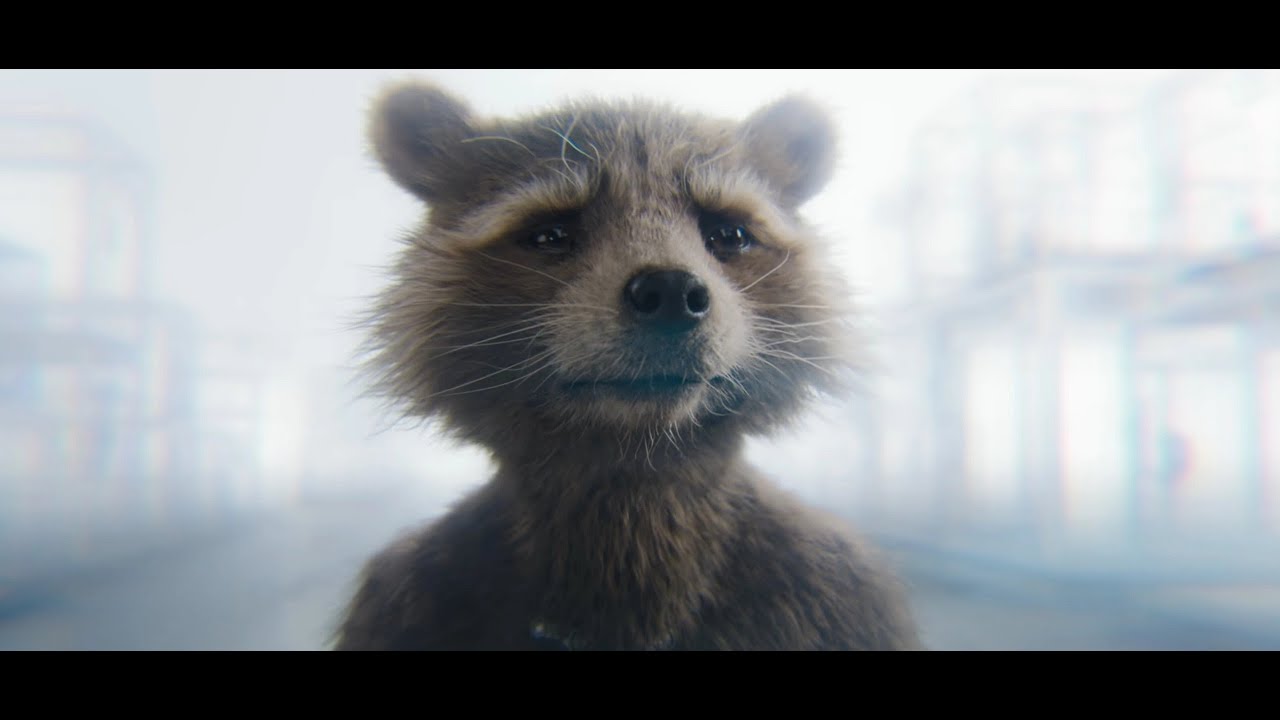 Rocket Raccoon - Guardians of the Galaxy (Viva La Vida, Coldplay)