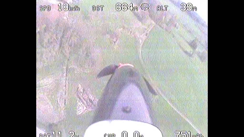 FPV Rundflug SkyClimber &uuml;ber Antholing