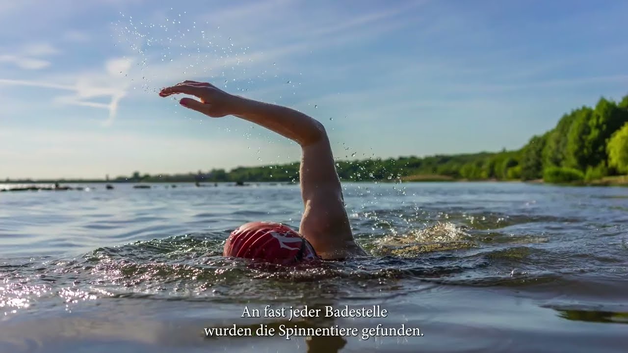 Zecken-Gefahr an deutschen Badeorten: FSME-Vorsorge wichtig!