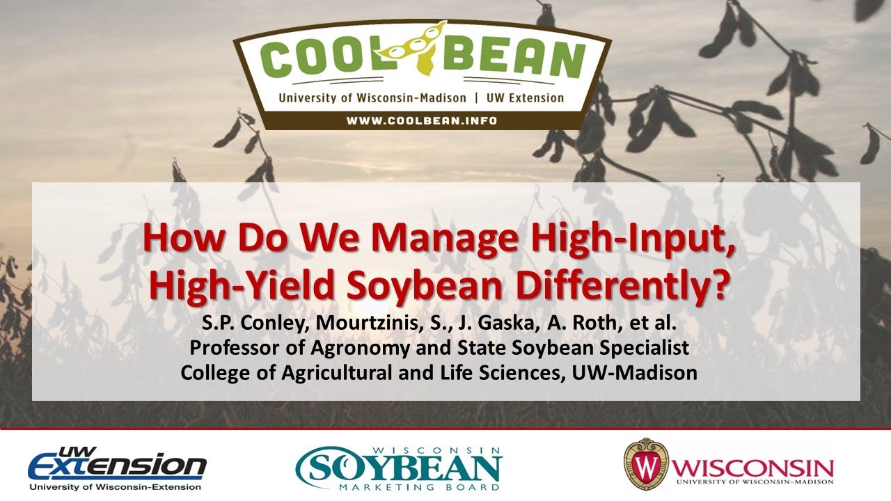 How Do We Manage High-Input, High-Yield Soybeans Differently?