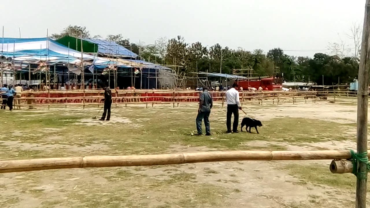 Cooch Behar Rash Mela Maidan Mamata Banerjee Sobha