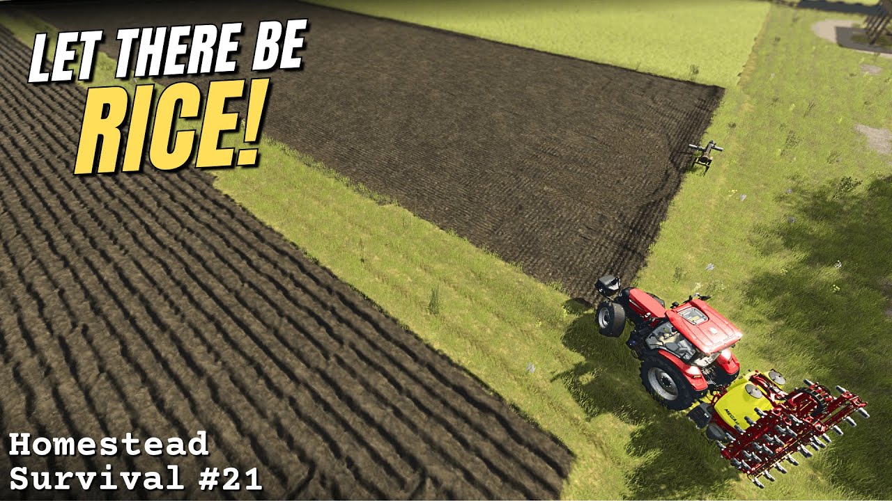 Planting Rice for the First Time! - Pallegney - Homestead Survival Challenge 21 - FS25