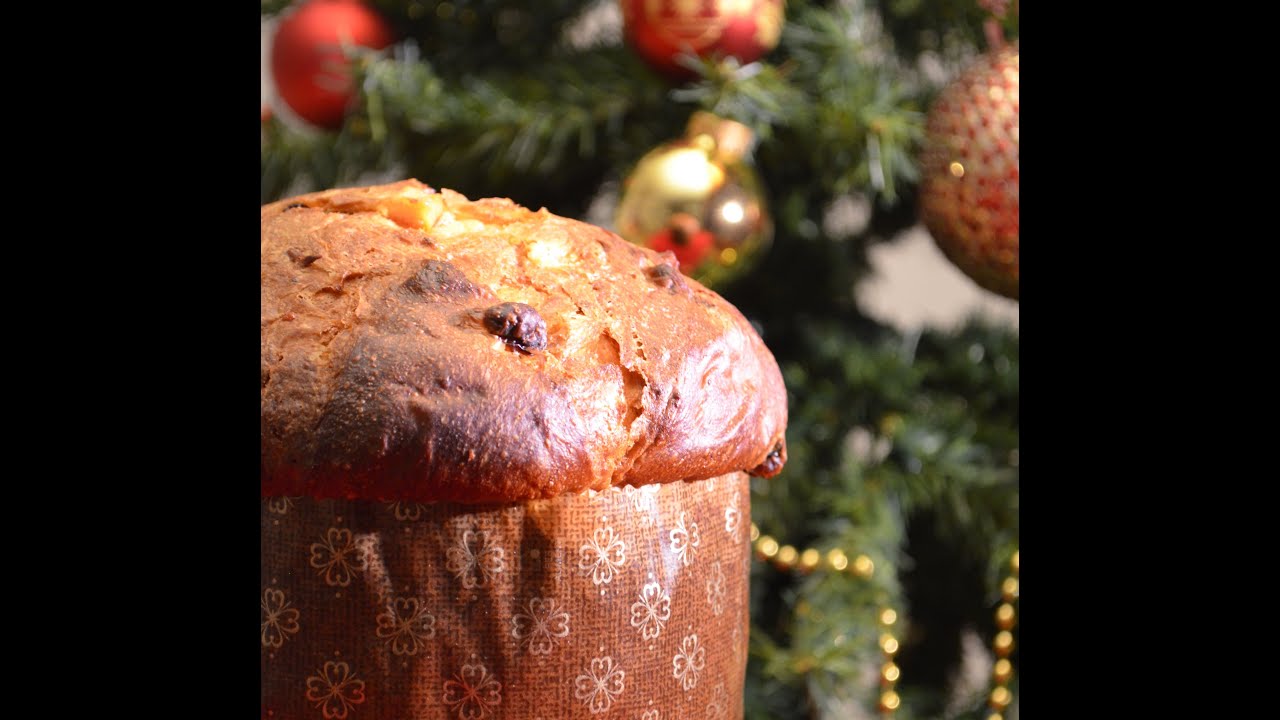 Panettone by Bravobob