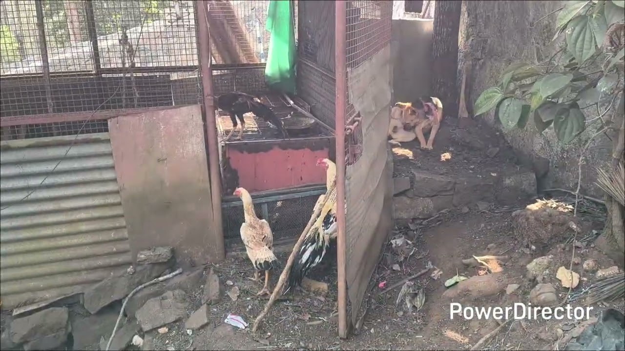 விரைவில் இவர்கள் பயணம் தொடங்கும் 