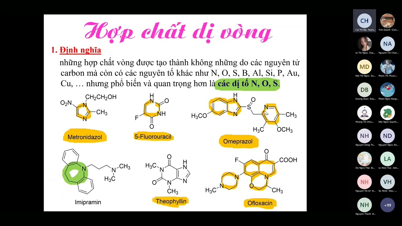 10. Hợp chất dị vòng P1