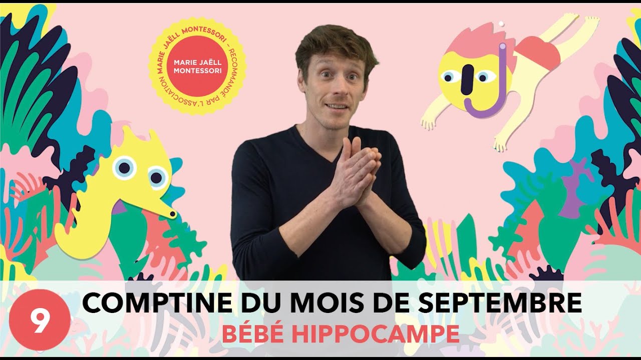 ZANIMOMUSIC BABIES - Bébé Hippocampe (Comptine de septembre)