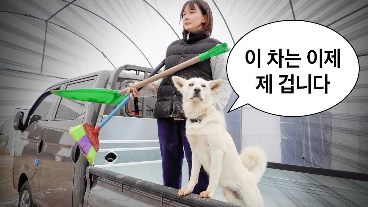 새 트럭 샀는데 강아지에게 점령당했습니다