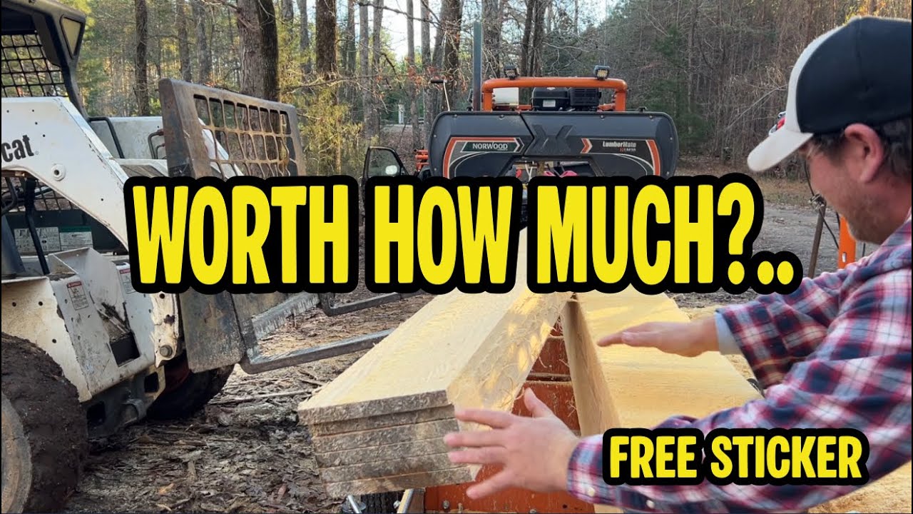 This Ugly Pine Log Was Worth HOW MUCH?! (Do the Math) WIN a Sticker