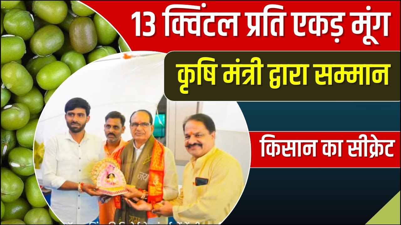 13 क्विंटल प्रति एकड़ मूंग उत्पादन | किसान का क्रांतिकारी नवाचार सबूत के साथ | Moong Ki Kheti 2026