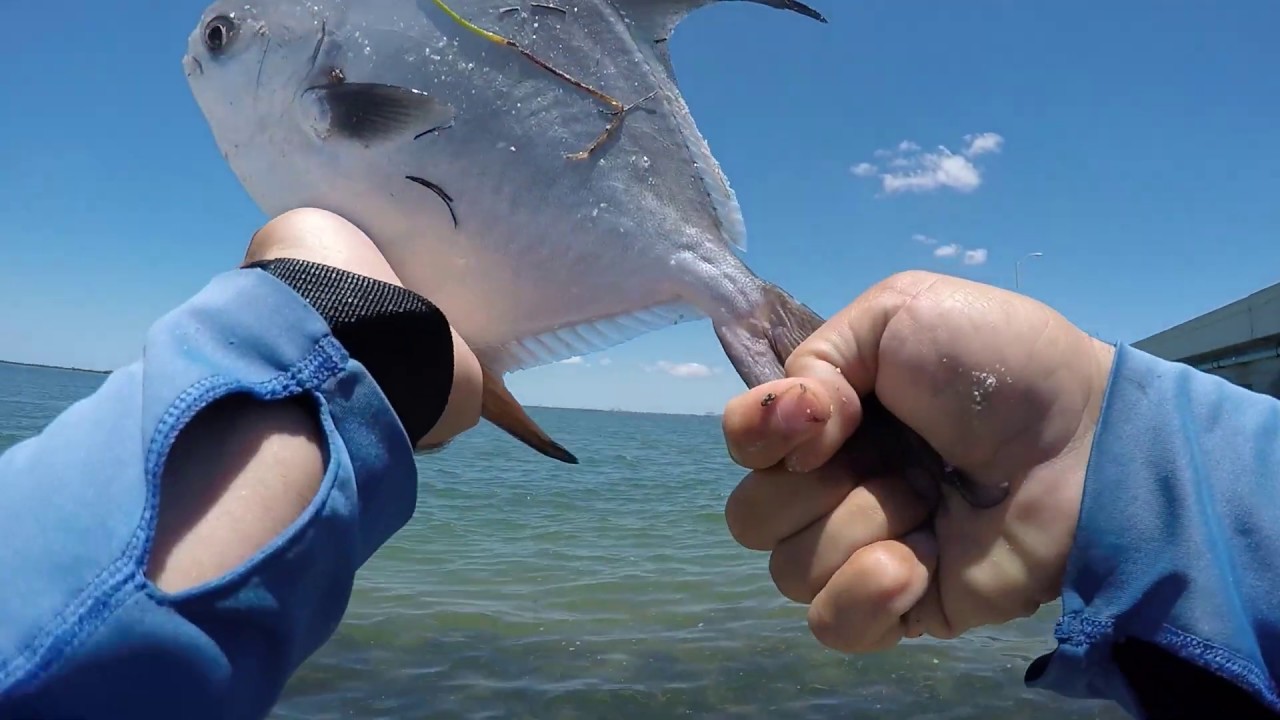 Permit and Pompano fishing North Skyway Bridge