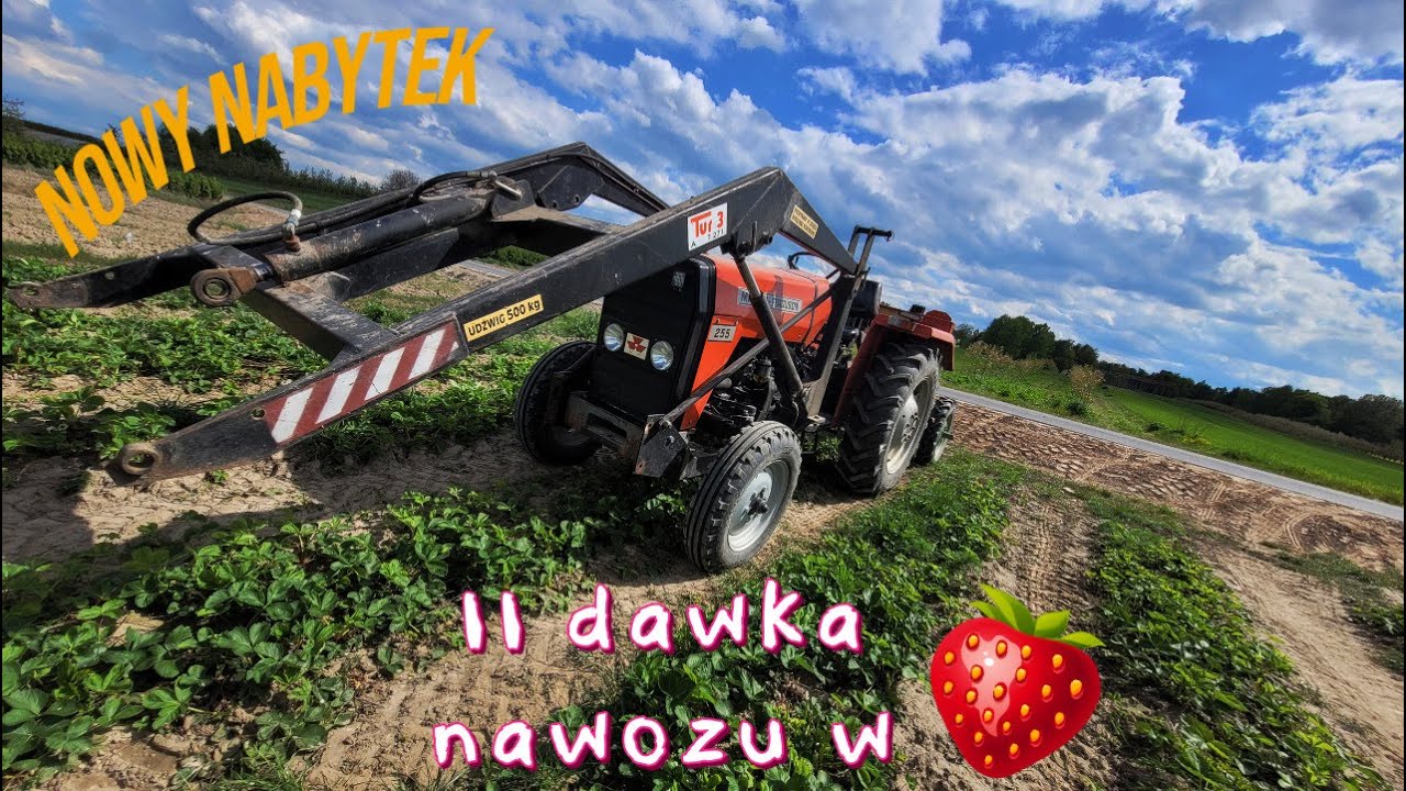 🔥Nowy nabytek- ładowacz TUR 2 do MF🔥 Sypiemy 2 dawkę nawozu w truskawki.
