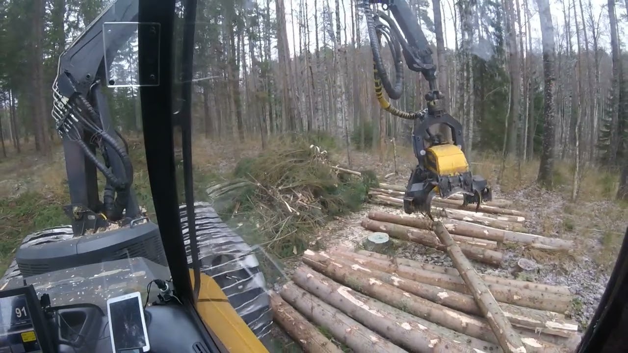 Näreikköä nutulleen, sähkövikaa ja muuta ongelmaa. 