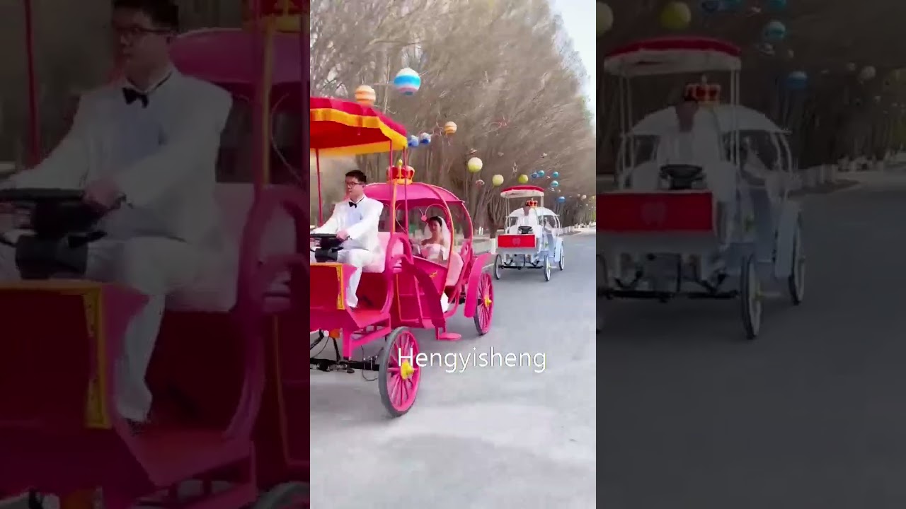 Hot sale Cinderella electric carriage for sightseeing #carriage #travel #wedding