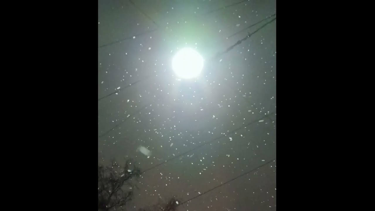 Waltz of the Snowflakes