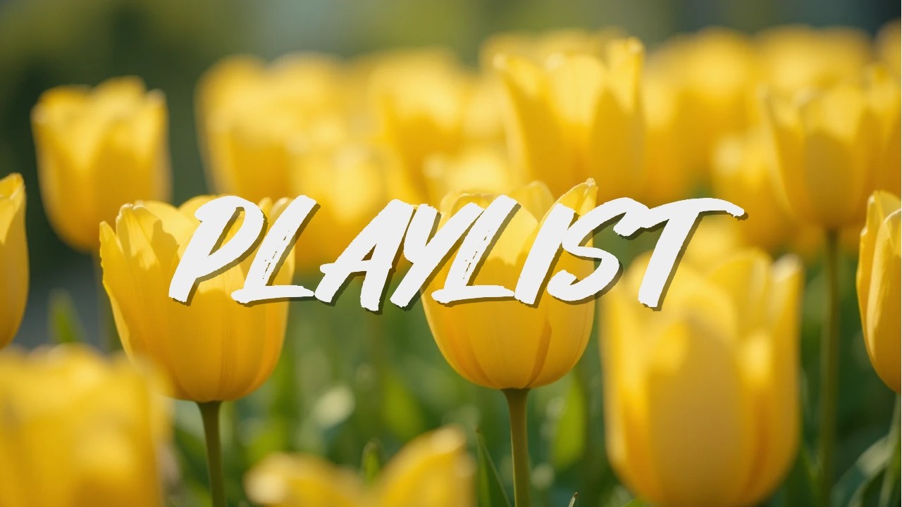 🌷Timeless Classical Melodies | 감성 클래식 피아노 & 스트링 모음