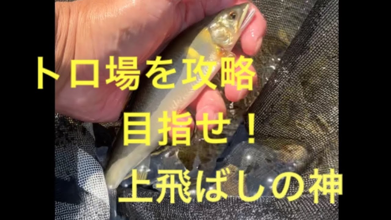 渇水の安曇川を攻略！ひたすら上飛ばし！