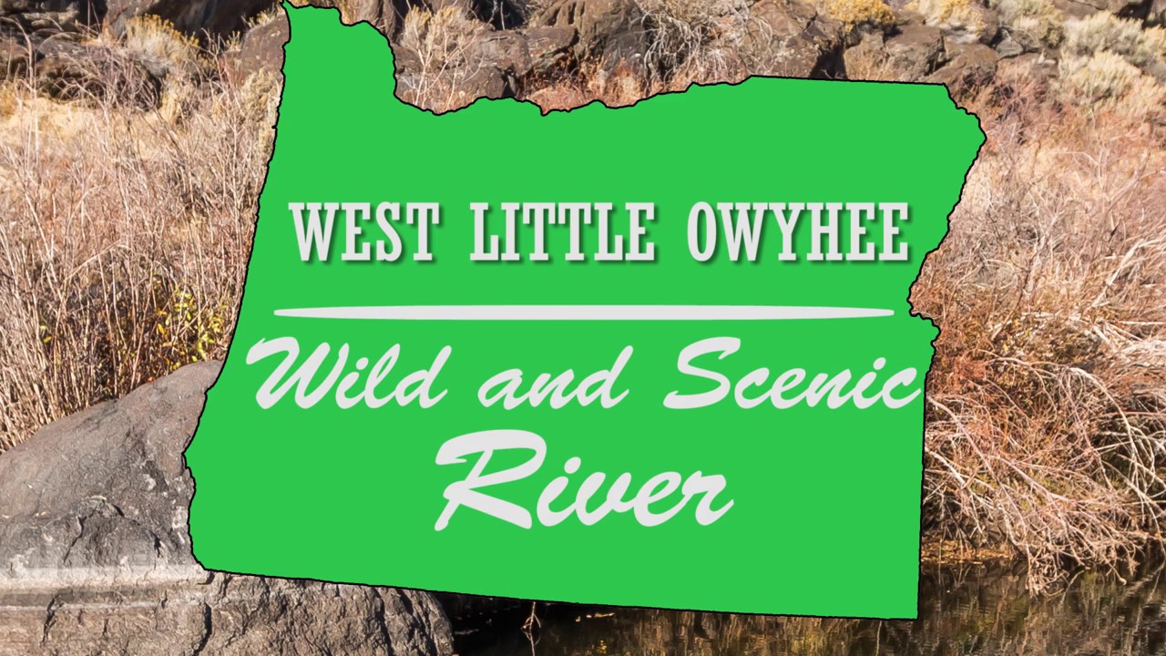 West Little Oywhee Wild and Scenic River!