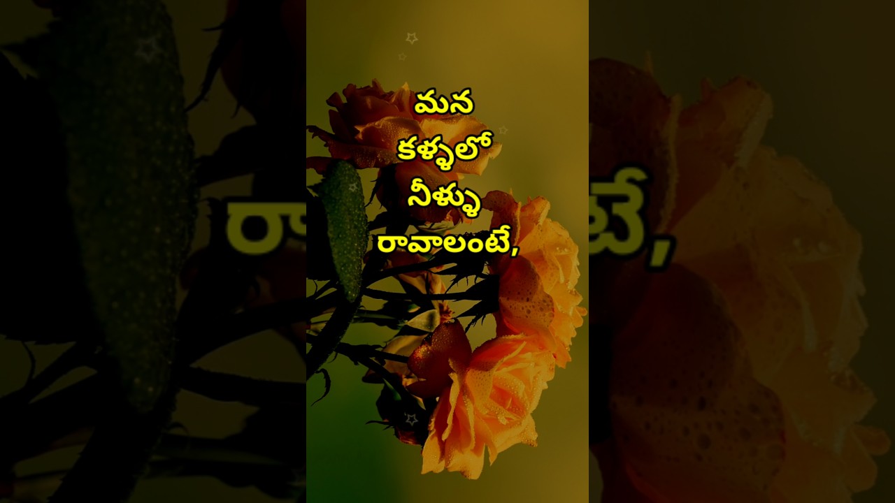 Neethi vakyalu #2804 | manchi matalu | jeevitha satyalu | quotations | telugu sukthulu | top matalu